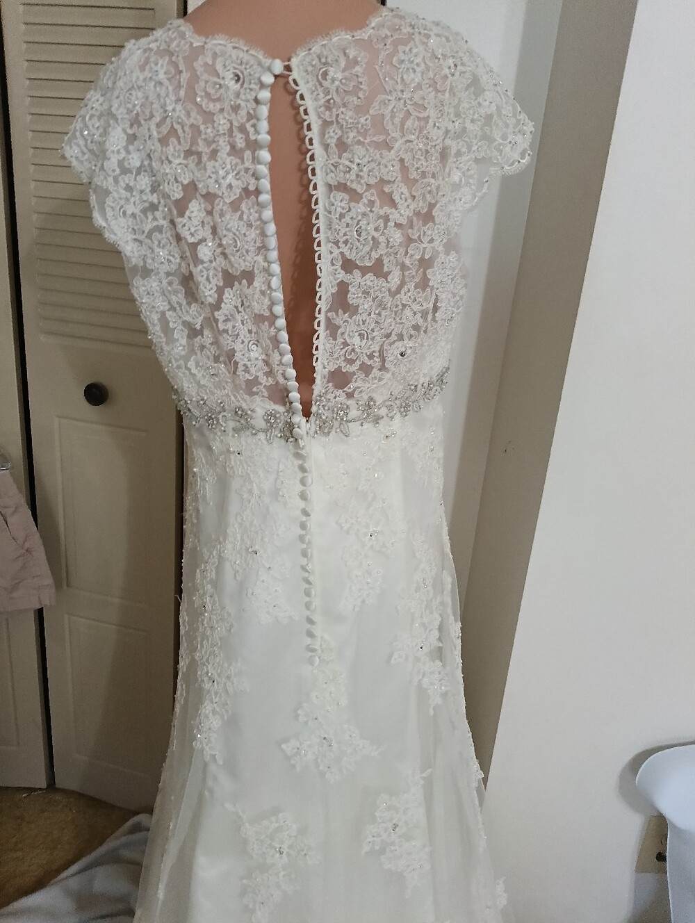 David's Bridal Ivory Beaded Wedding Dress - Picture 5 of 6